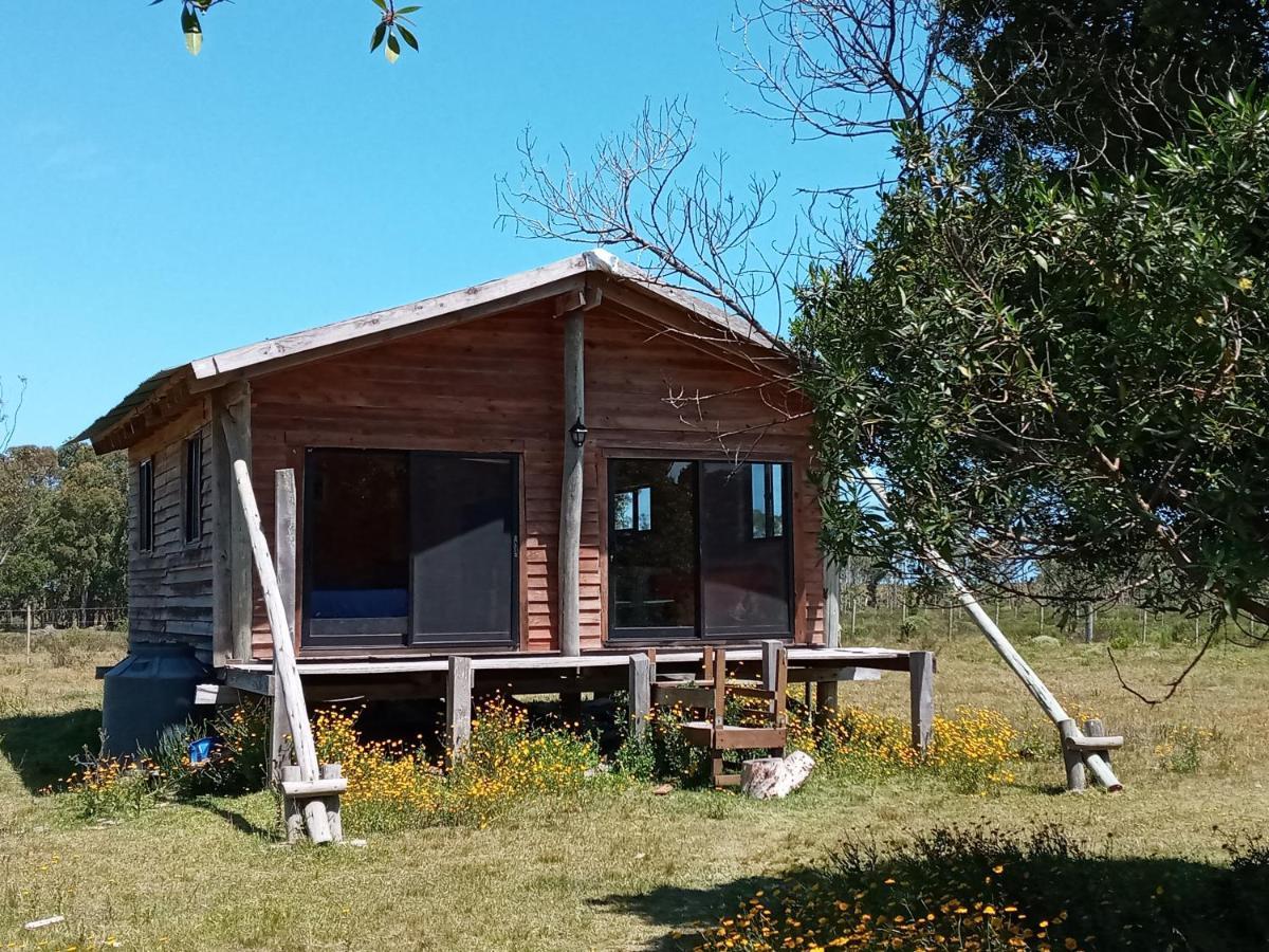 Rincón de los Oliveras Casa De Campo Cerca Del Cabo 빌라 외부 사진